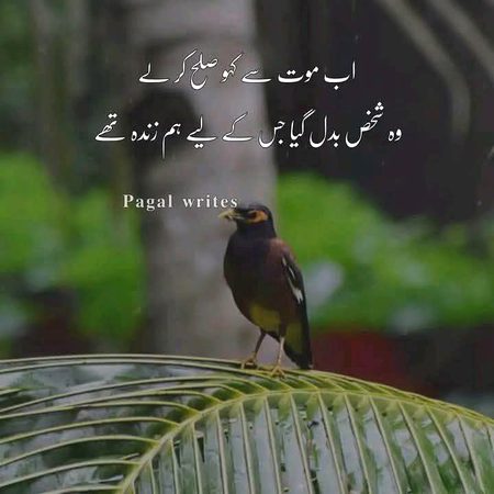 Sad Poetry image