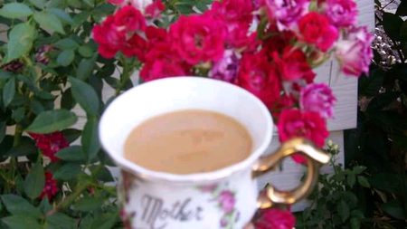 Zaqota Jin chay p o or sar drd dor kro ...