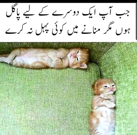 Memes & Satire image