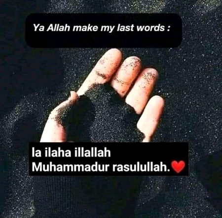 Islamic Quotes image