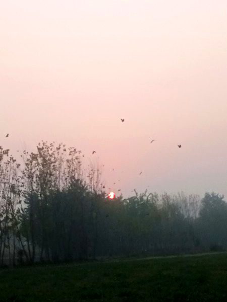 Beautiful Nature image