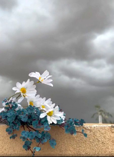 Beautiful Nature image