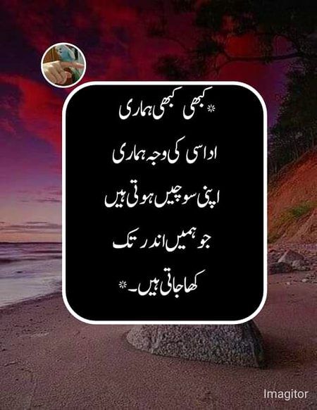 یو زلی چی مات شی بیا راغیگی نہ
زڑہ او باور دواڑہ یو خاصیت لری