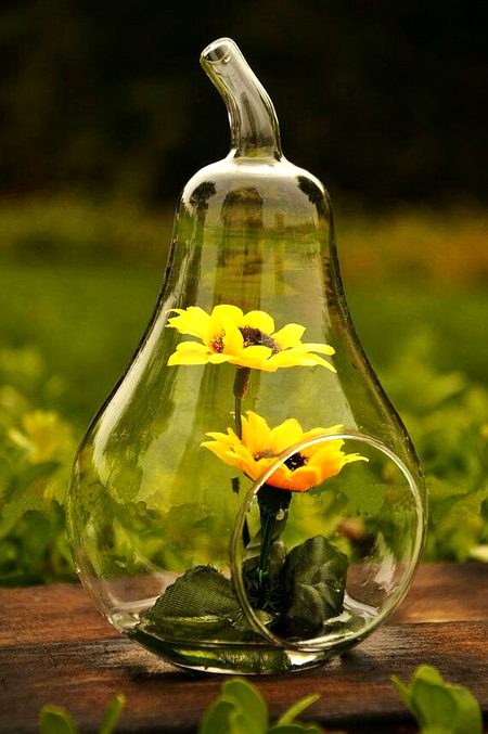 Beautiful Nature image