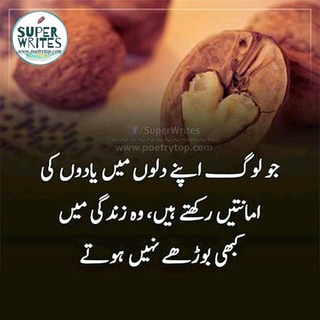 Life Advice image