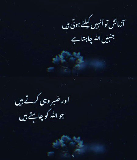 Islamic Quotes image