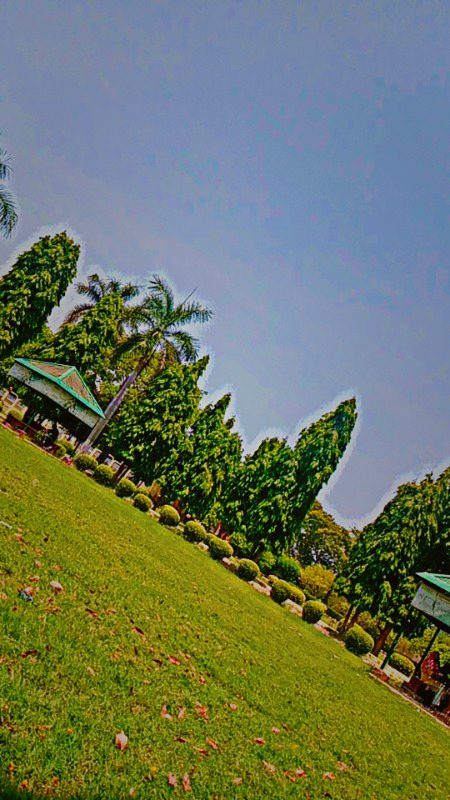 Beautiful Nature image