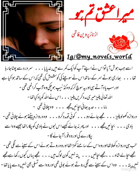 Romantic Novels image