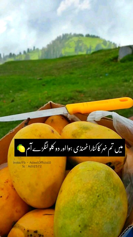 دیکھنے کے لیے__ سارا عالم بھی کم
چاہنے کے لیے______ ایک چہرا بہت ❤