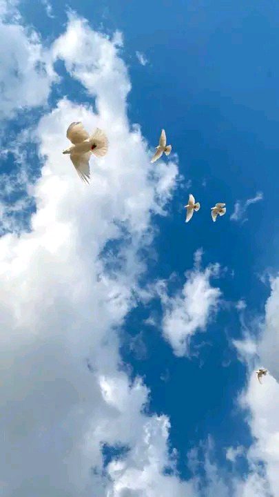 Forever admiring the beauty of clouds and sky.☁️