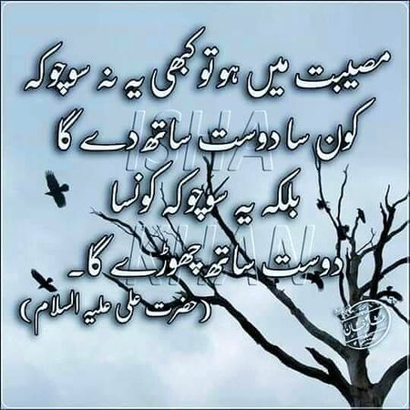 .r1 all gdnyt tc all