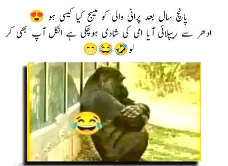 Jokes image