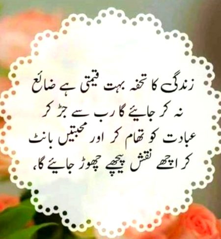 Beshak best msg πΉπππ€²π½π