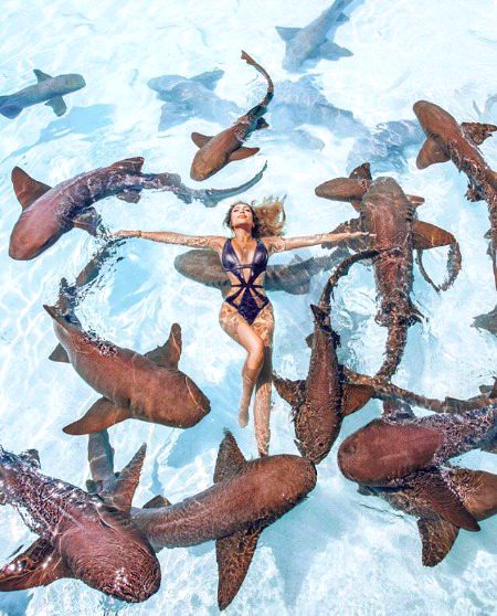 Beautiful Nature image