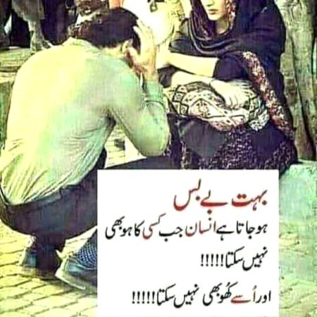Hyii DD,