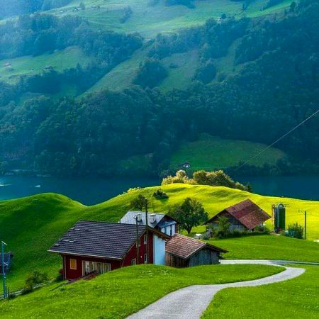 Beautiful Nature image