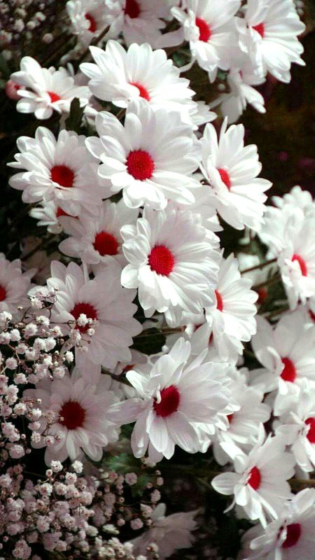 Beautiful Nature image