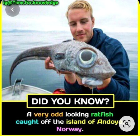 Interesting Posts image