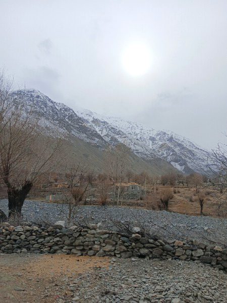 Beautiful Nature image