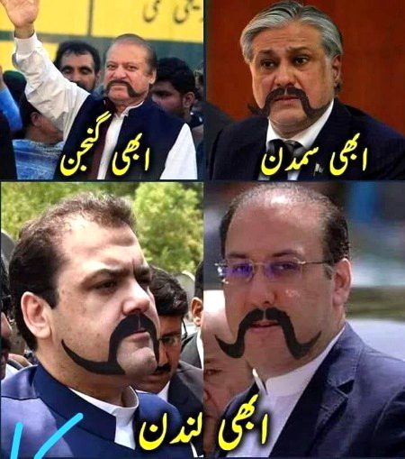 Memes & Satire image