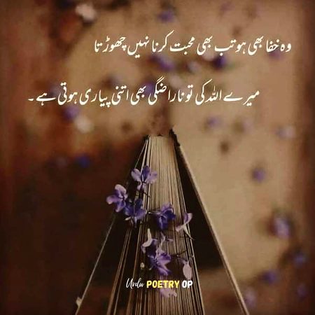 Islamic Quotes image