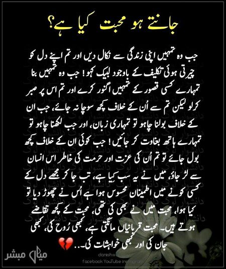 No Caption 🔥🔥🔥