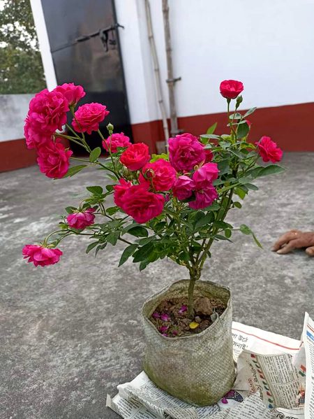 Beautiful Nature image