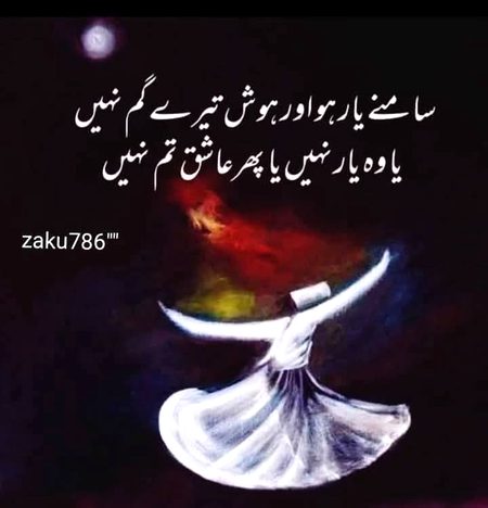 یہ ناکام سفر بلندی کا ، اور یہ تیور عاشقانہ
ہم وہاں سے پلٹے ، جہاں سے ،  پلٹنا محال تھا