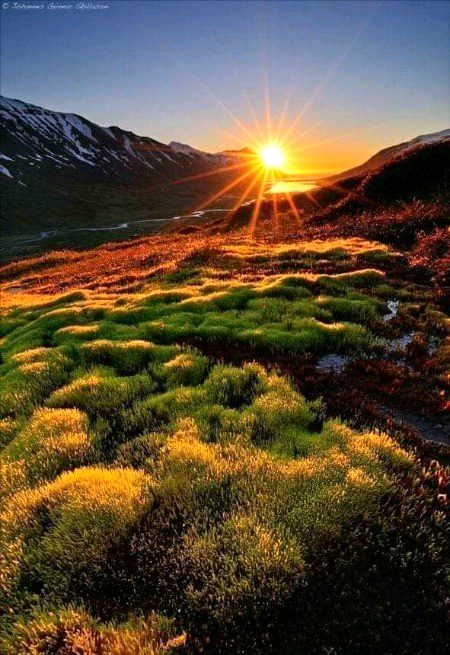 Beautiful nature