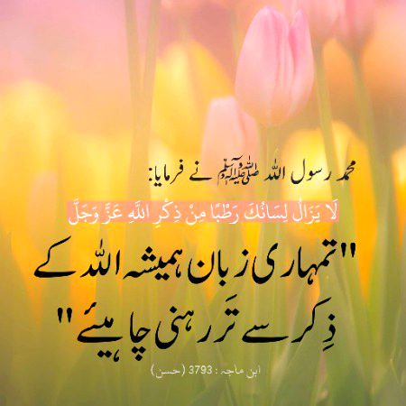 Islamic Quotes image