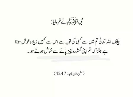 Islamic Quotes image