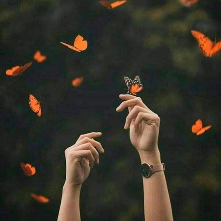 Beautiful Nature image