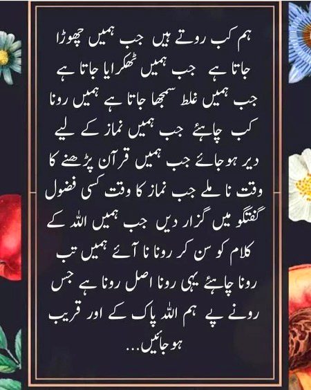 ❤💚💜❤💚💜