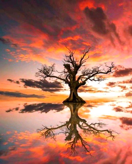 Beautiful Nature image