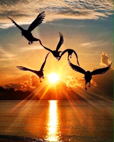 Beautiful Nature image