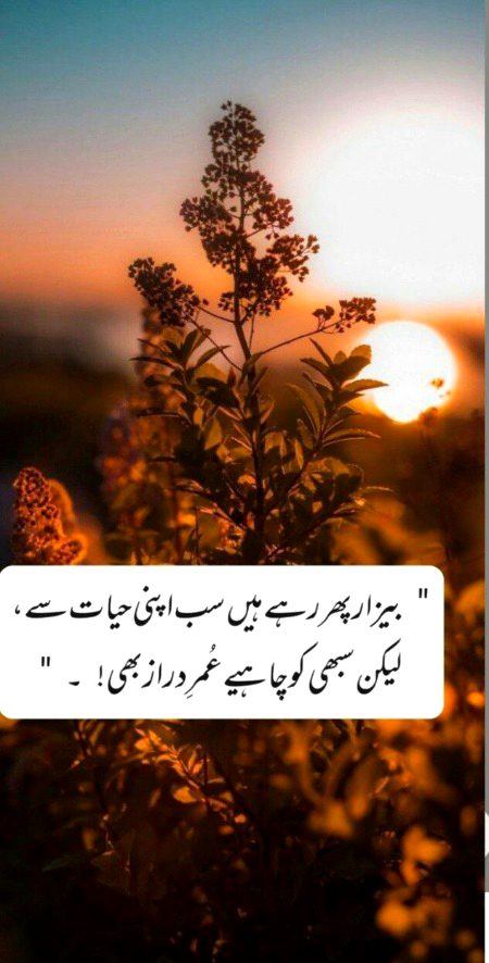 Attitude Quotes image