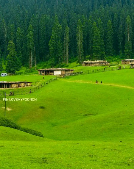 Beautiful Nature image