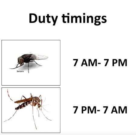 Memes & Satire image