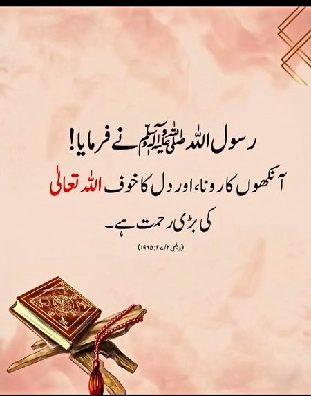 رسول صلی اللّٰہ علیہ وسلم نے فرمایا