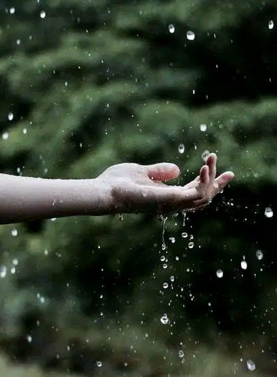 Beautiful Nature image