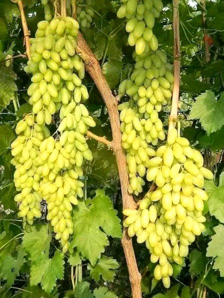 Beautiful Nature image