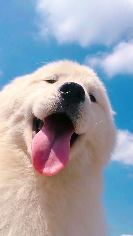 Beautiful Nature image