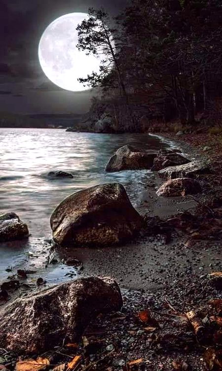 Beautiful Nature image