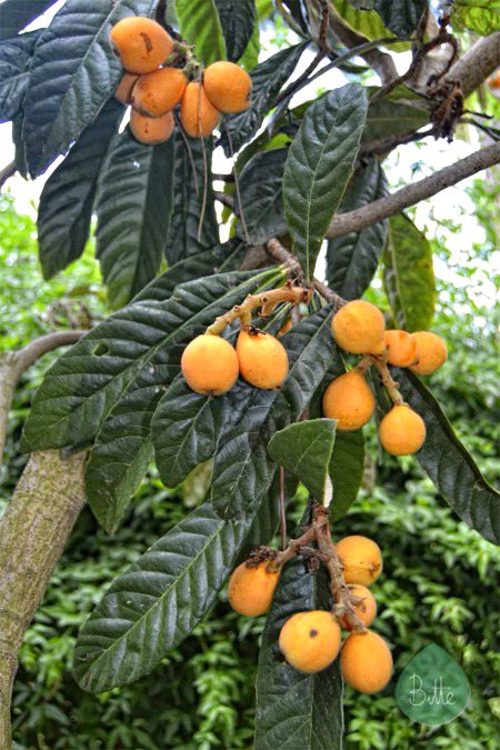 Beautiful Nature image