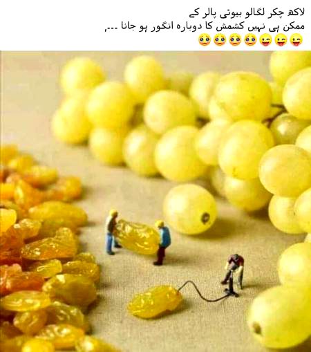 Sabb DD ko
