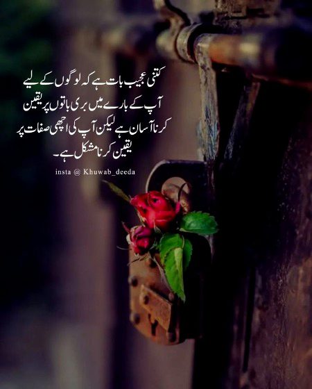 🌹 merijan-16 🌹
Bilkul aesa hi dor h