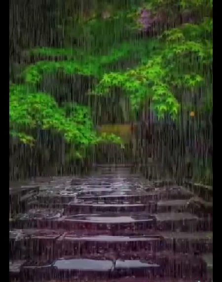 Beautiful Nature image