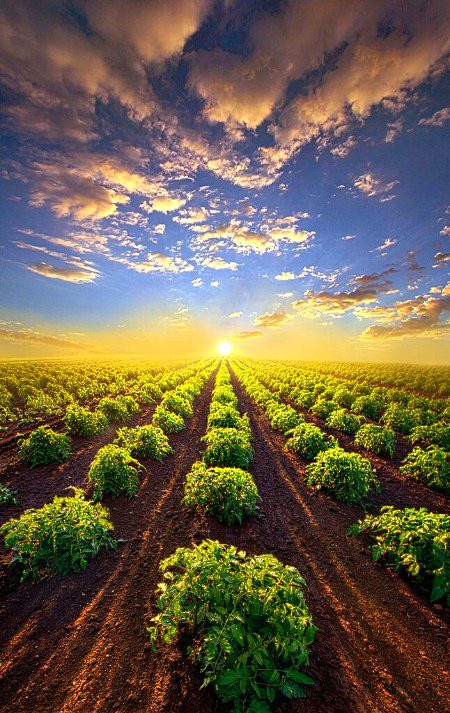 Beautiful Nature image