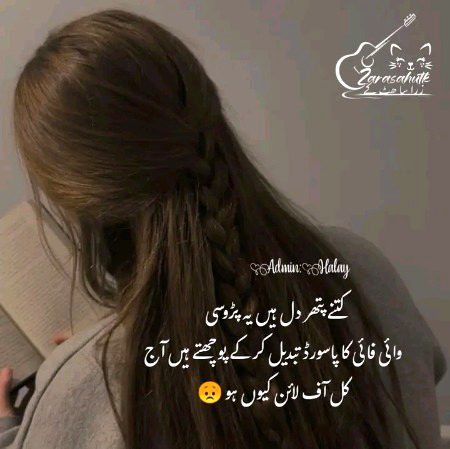 Memes & Satire image