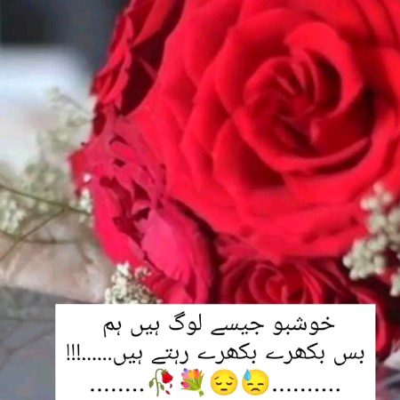 Sad Poetry image